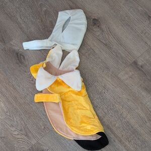 Small Dog Banana Costume
